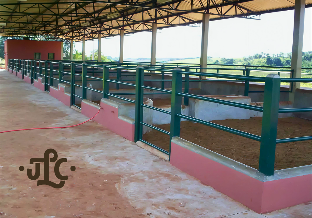 Baias para gado Nelore P.O. executadas pela JLC Construções Rurais