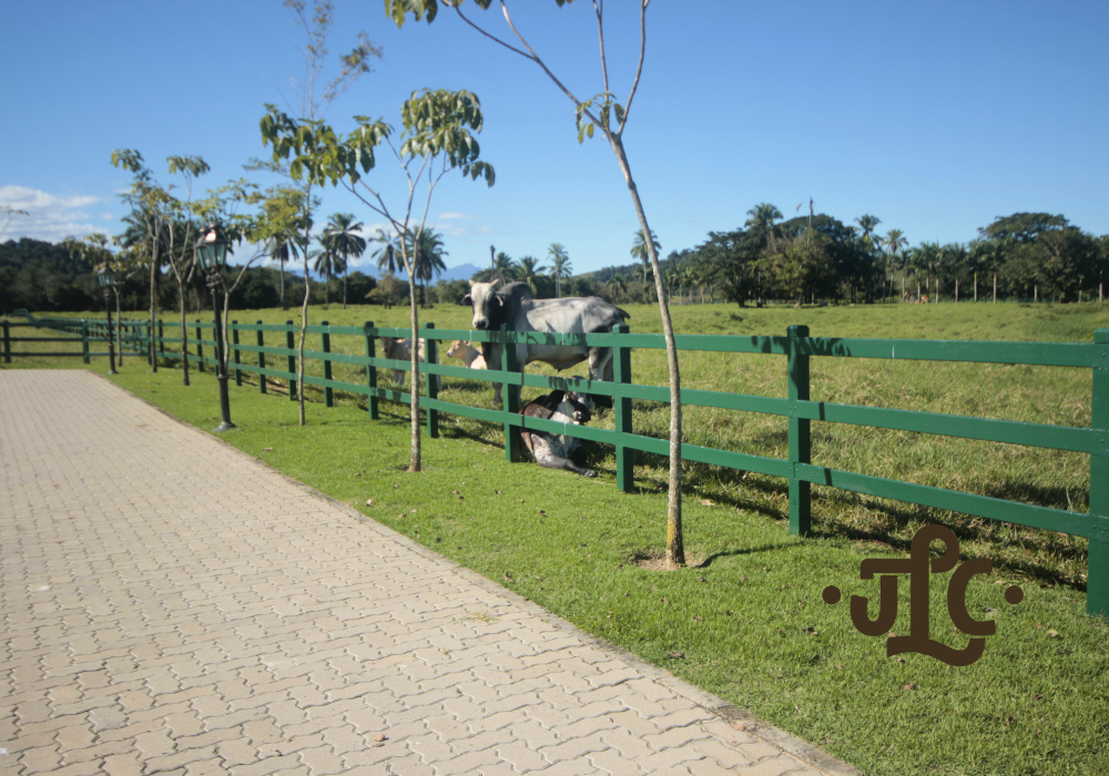 Curral e infraestrutura rural para manejo de gado executados pela JLC Construções Rurais